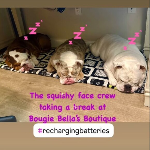 Bougie Bella's Live Show Flyer - Picture 8 of 12